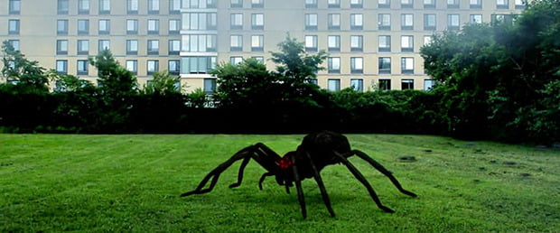 Arachnado arañas gigantes