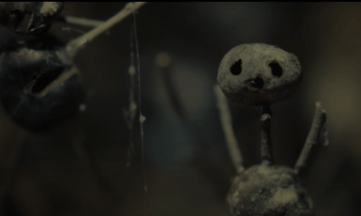 "Chestnut Man": la próxima serie nórdica de crimen y terror sobrenatural de Netflix
