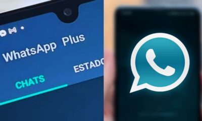 Cómo Programar Mensajes en WhatsApp Plus