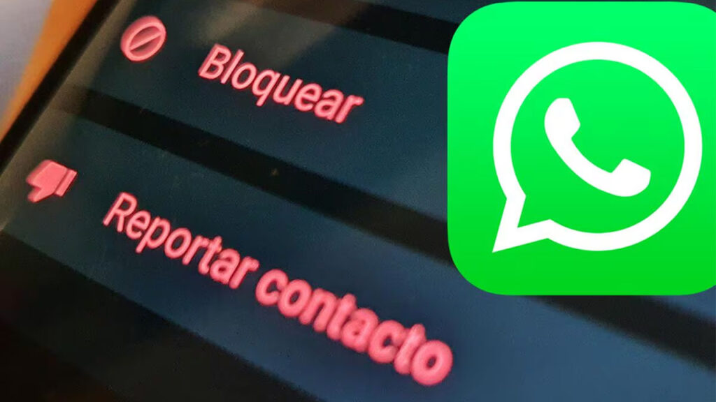 Reportar contactos es una forma de mantenerse seguro en WhatsApp