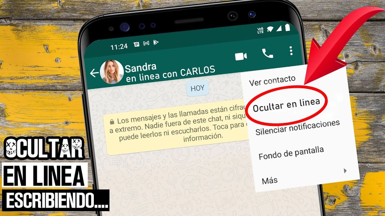Cómo mantener en secreto tu actividad en WhatsApp