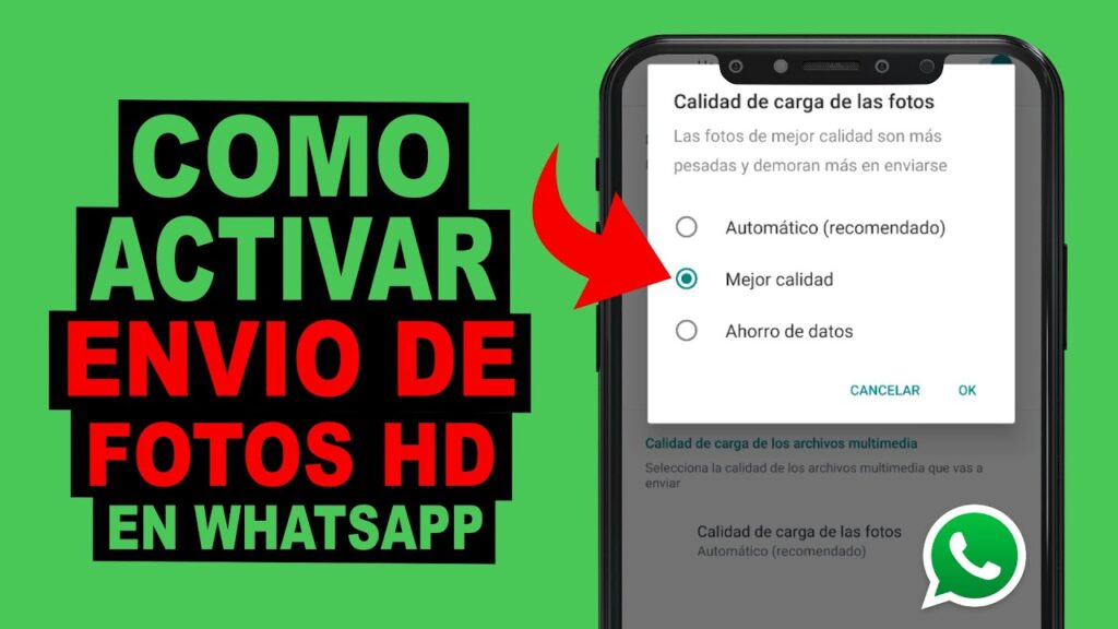 Puedes enviar fotos en alta calidad con WhatsApp