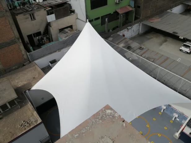 Colegio Dalton: Un referente de innovación y protección