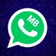 Actualizar MBWhatsApp