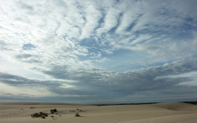 Lake Mungo (2008): el falso documental que da más miedo cuanto más lo piensas
