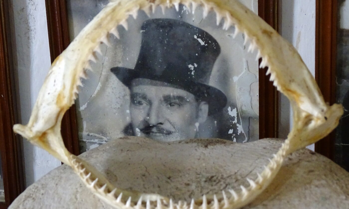 Las mejores peliculas de tiburones y terror abisal para ver