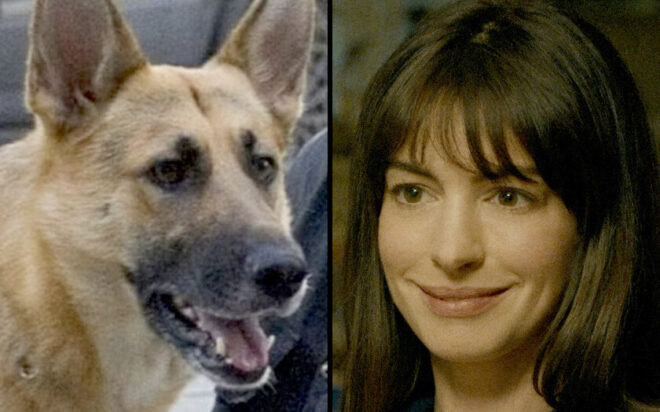 Anne Hathaway propone clasificar como “no aptas para niños” películas donde mueren perros