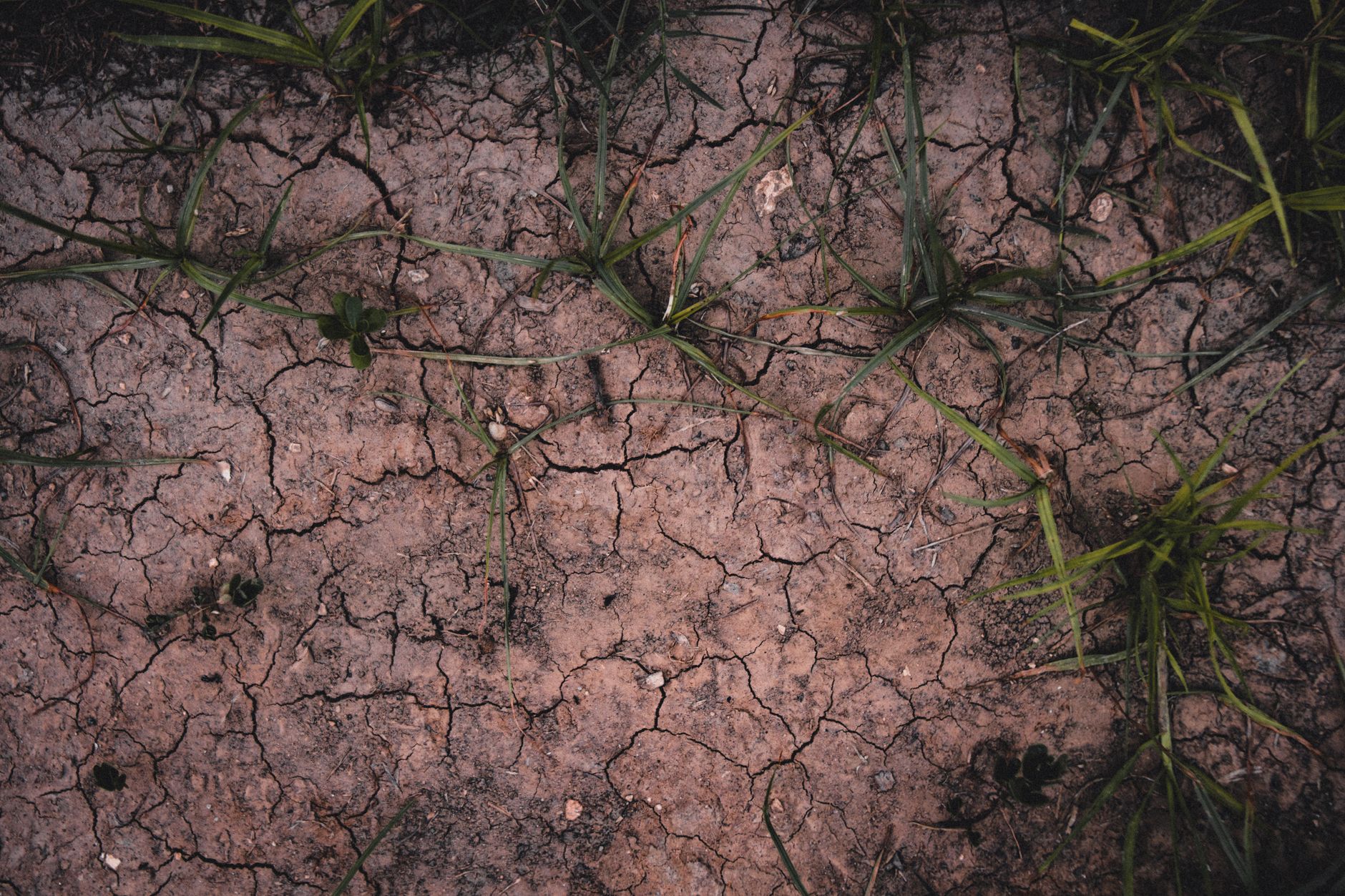 Suelo agrietado y seco visto desde arriba, imagen de referencia del tema climático de A Statement