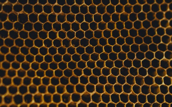 The Beekeeper 2: Statham y Metallica en su primer teaser