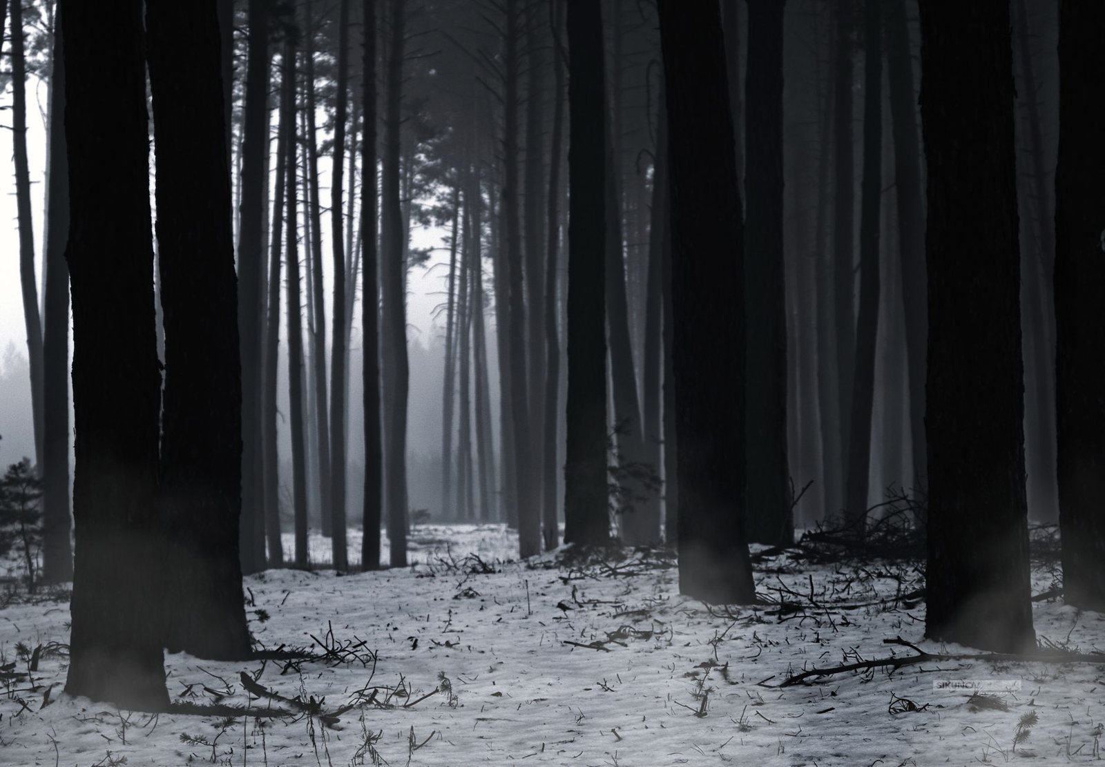 Bosque nevado con árboles altos y atmósfera inquietante, imagen ilustrativa del terror de Crystal Lake de Brad Caleb Kane