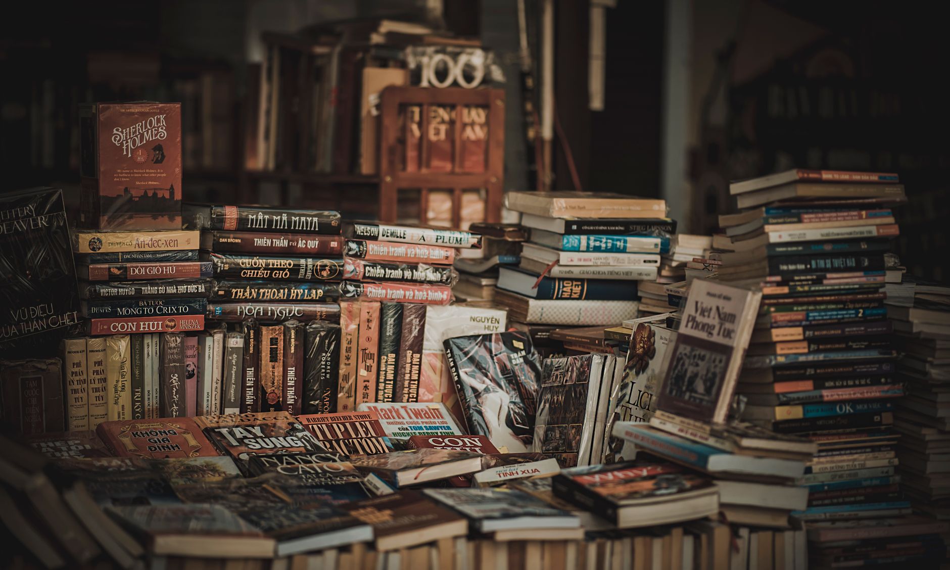 Librería acogedora con estantes llenos de novelas, imagen ilustrativa de la adaptación de la novela de John Steinbeck