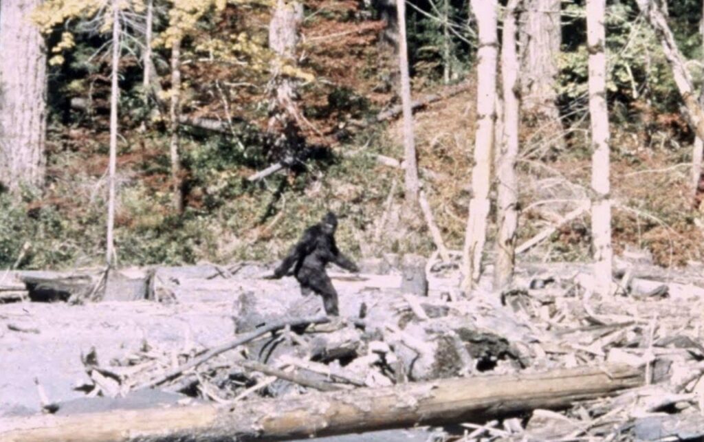 Capturing Bigfoot: ¿El documental que resolverá el misterio del críptido?